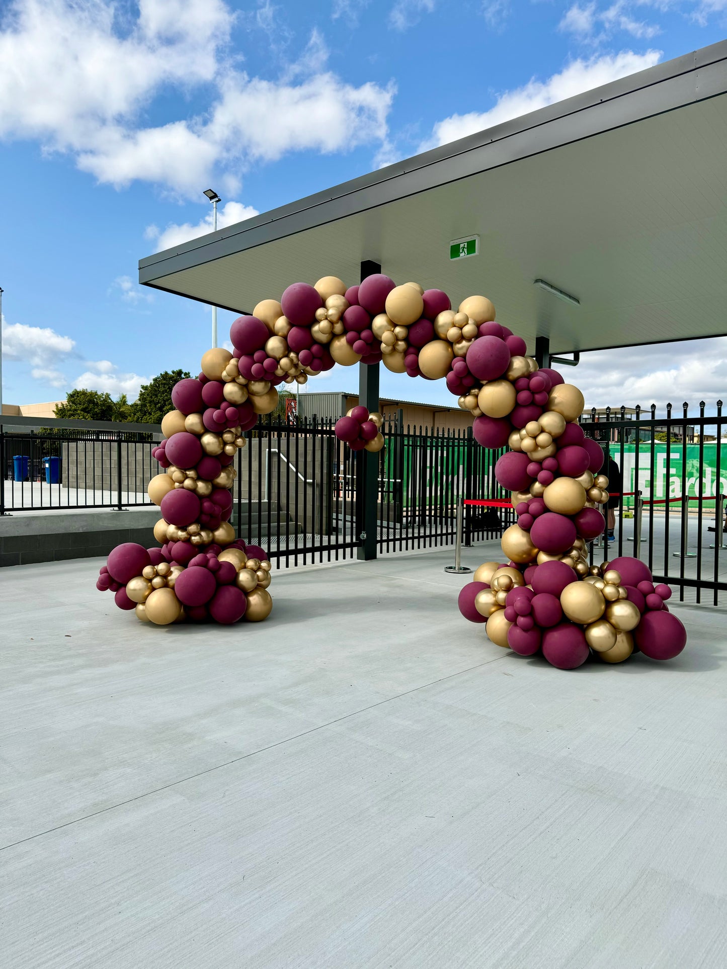 Balloon Arch Organic