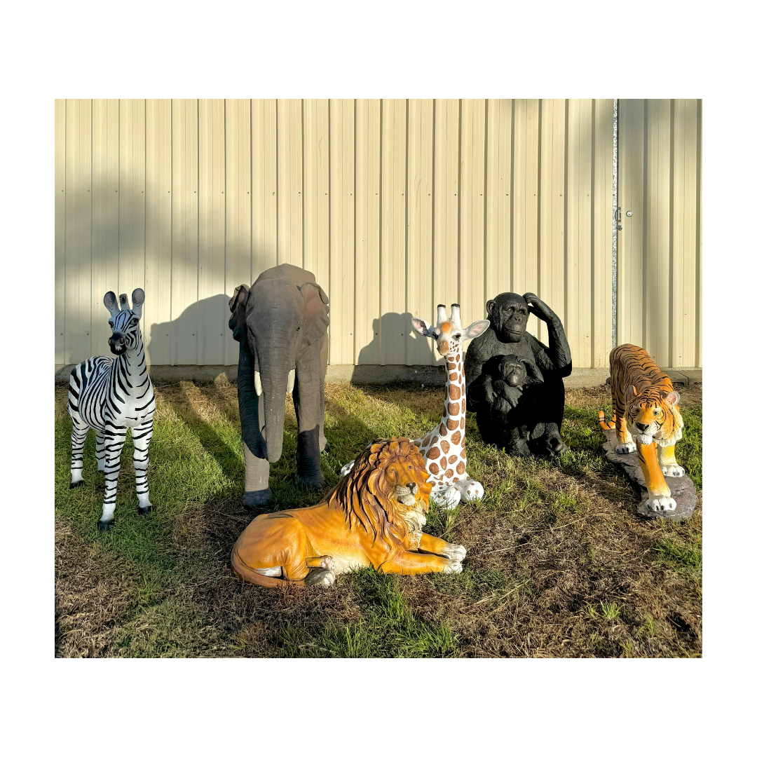 Safari Animal Hire Brisbane, Safari Theme Party, Safari Party Animals