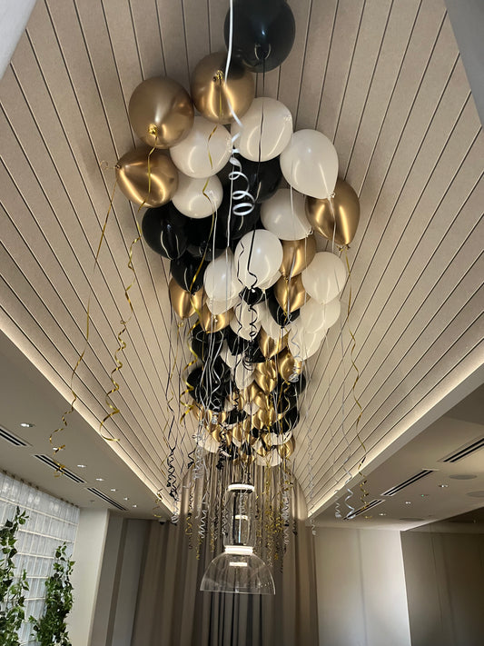 100 Helium Balloon Roof Installation Package