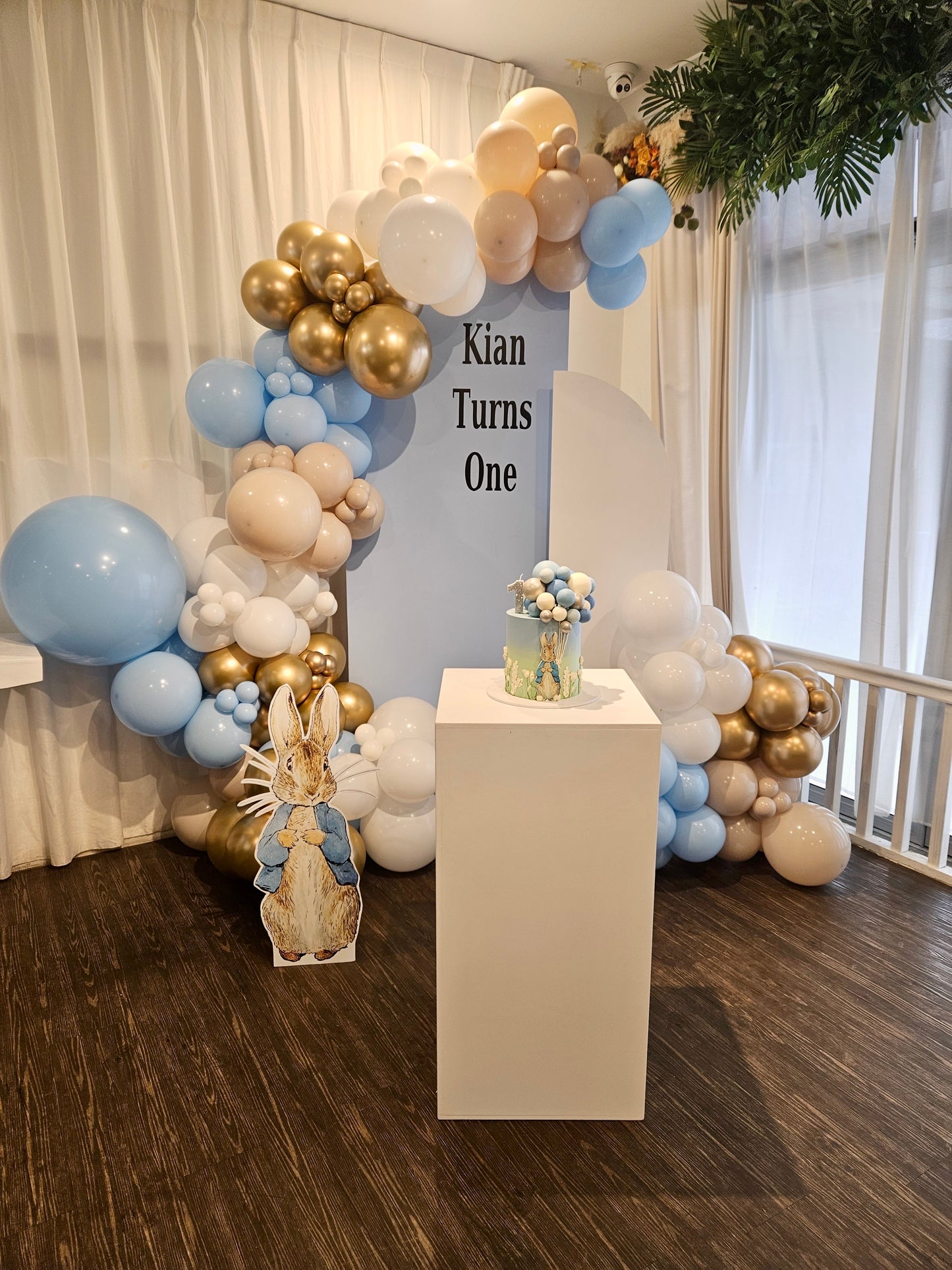 Peter Rabbit Birthday Party Decorations, Balloons For Birthdays, Peter Rabbit Balloons, Brisbane Balloons