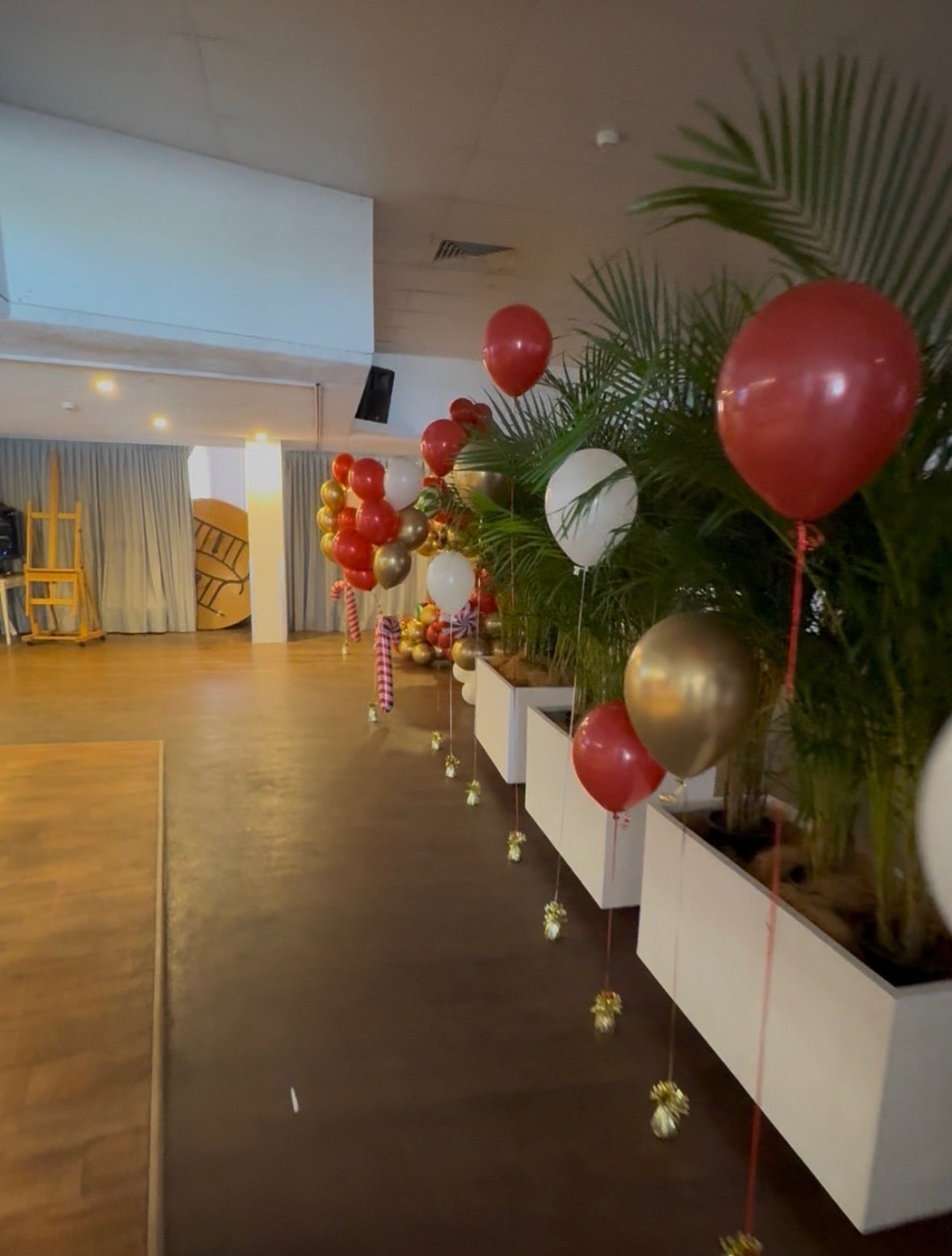 Decorative setup with balloons and plants in a room with wooden floor and white walls.