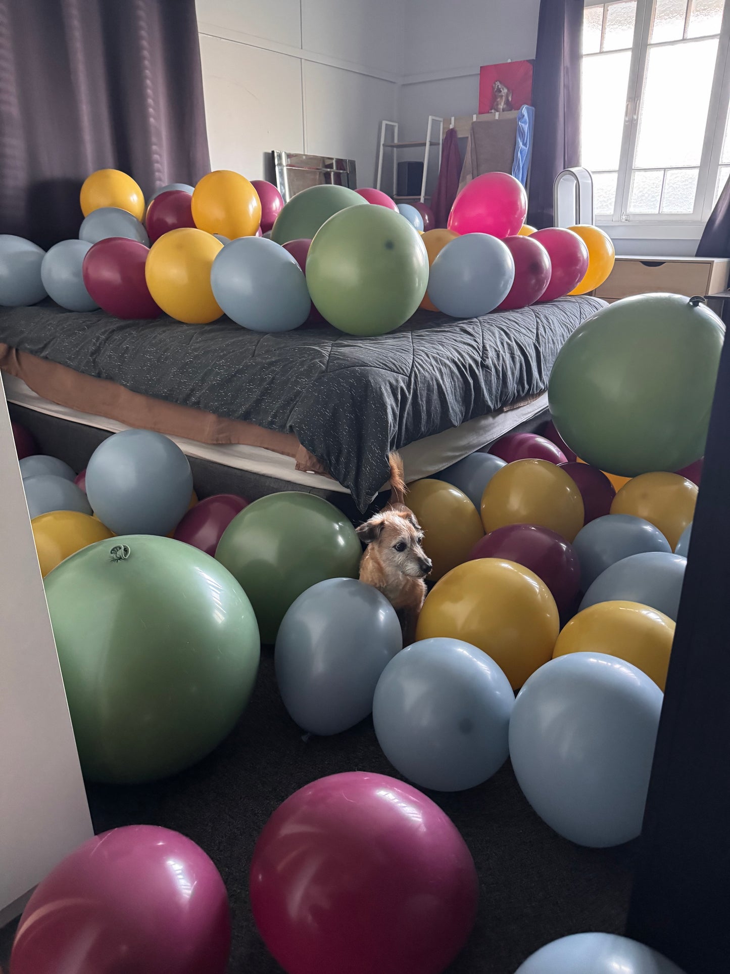 Surprise Balloon Room Package
